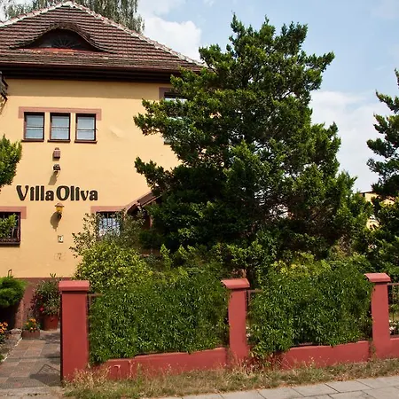 Oliva Ubytování v soukromí *