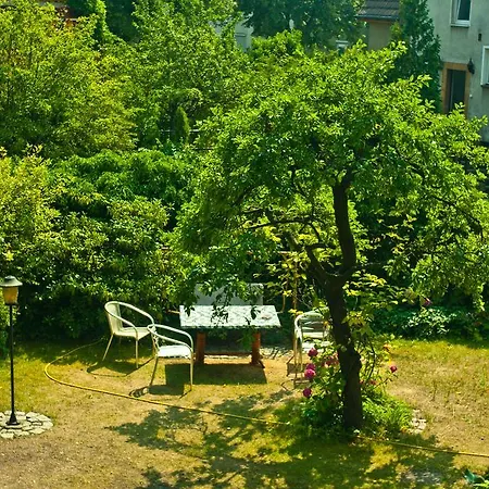 Oliva בית אירוח *