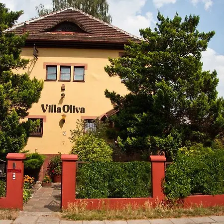 Oliva *