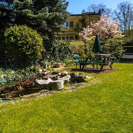 Проживание в семье Oliva *